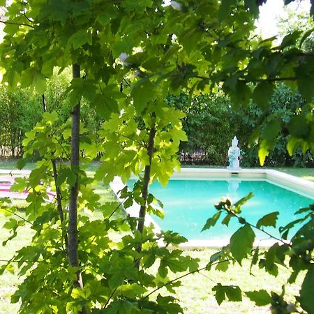 L'Islo Bamboo Apartment Saumane-de-Vaucluse ภายนอก รูปภาพ