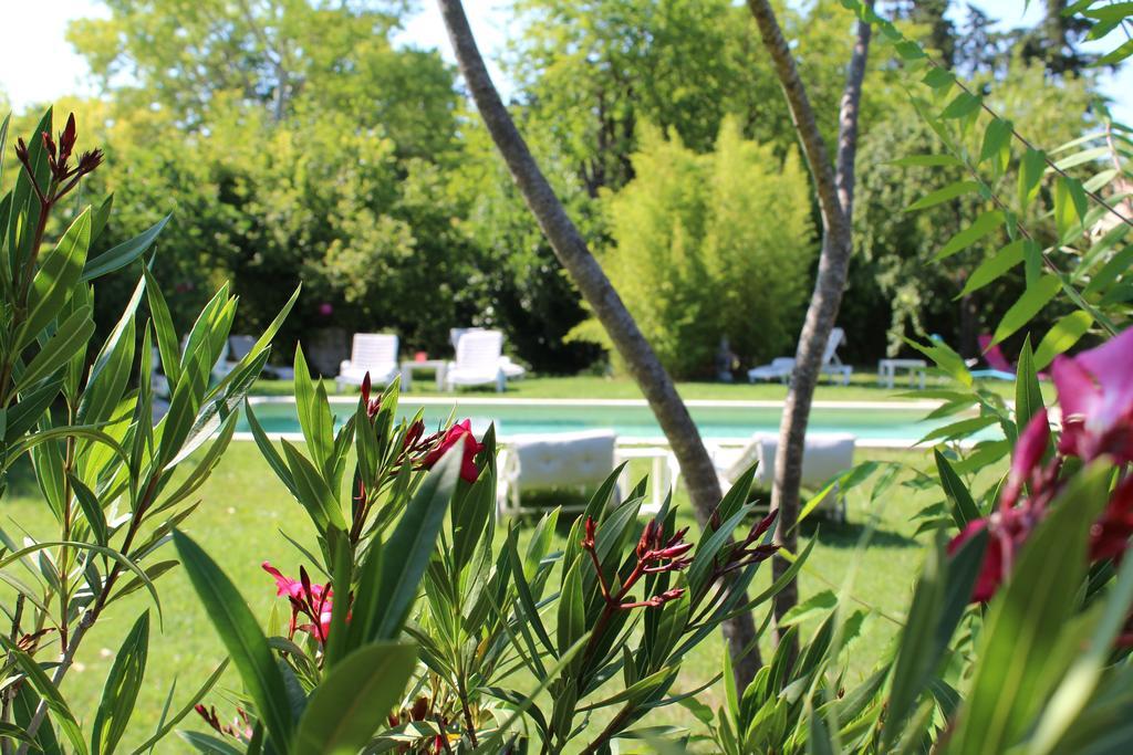 L'Islo Bamboo Apartment Saumane-de-Vaucluse ภายนอก รูปภาพ